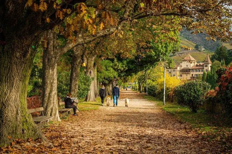 Responsible Travel Photography: Ethical Considerations and Best Practices