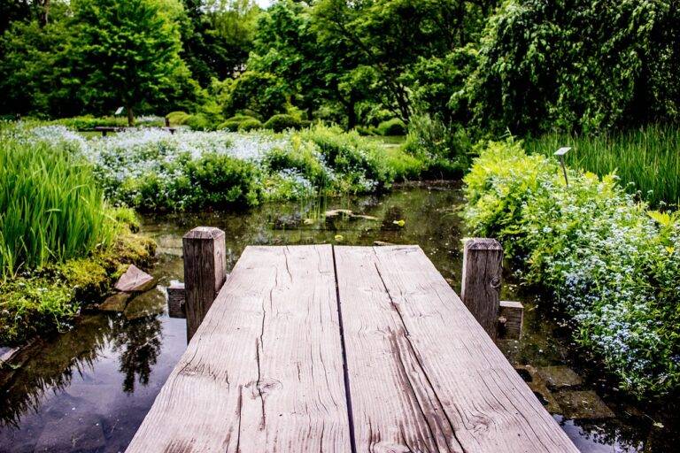 Exploring Traditional Healing Practices: Holistic Approaches to Wellness