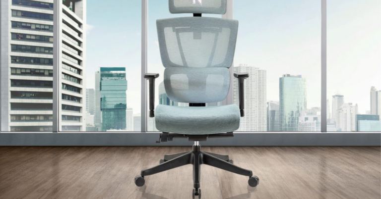 Hinomi Vs NextChair: Which Ergonomic Chair is Right for You?