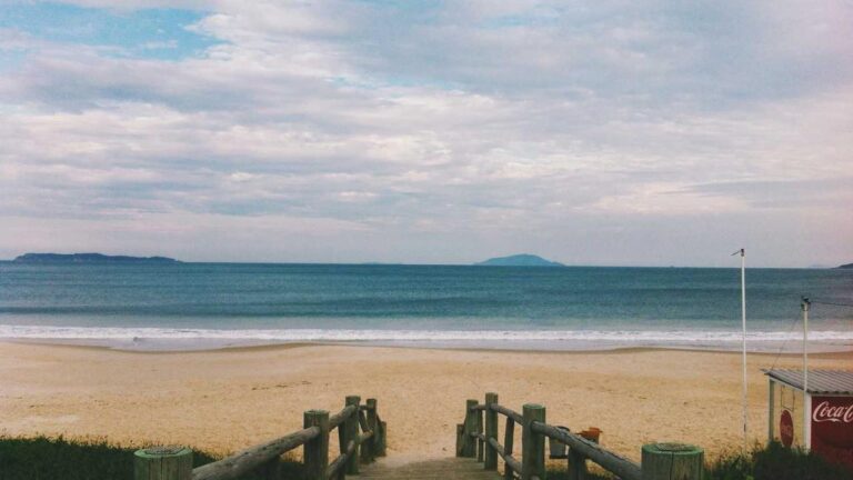 How To Start The 99Exch Sign-Up Process On Mobile?